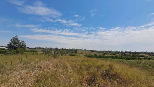 3.7 acre farm outside of Nanyuki for sale image 12