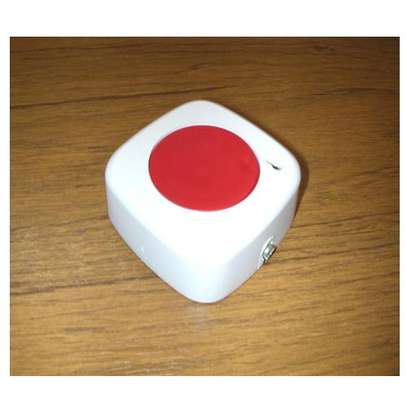 Panic buttons for intruder alarm system image 3