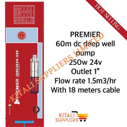 premier 60m dc deep well pump image 1