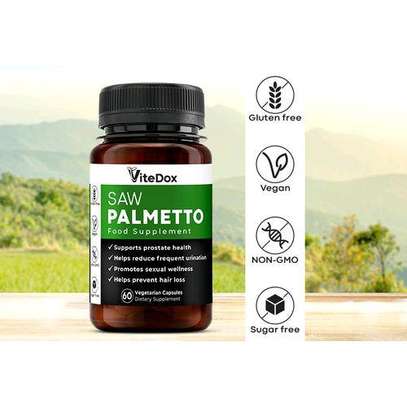 ViteDox Saw Palmetto Helps Reduce Frequent Urination image 1