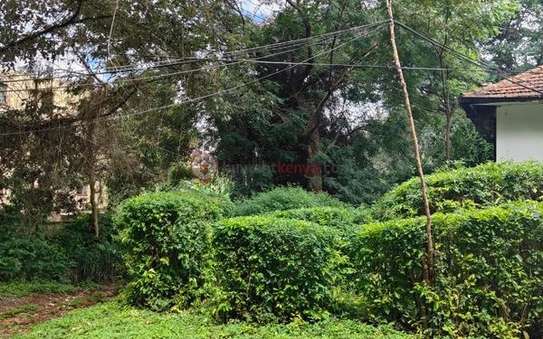 Land at Westlands image 27