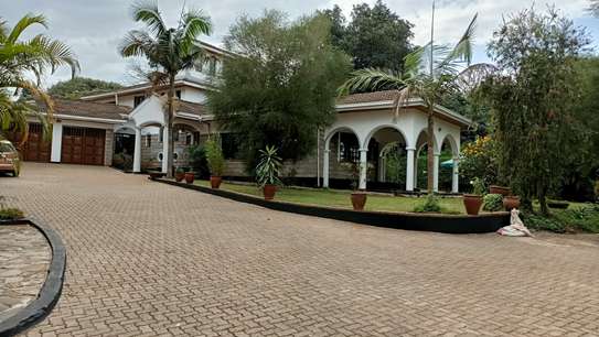 4 bedroom townhouse for rent in Nyari image 15