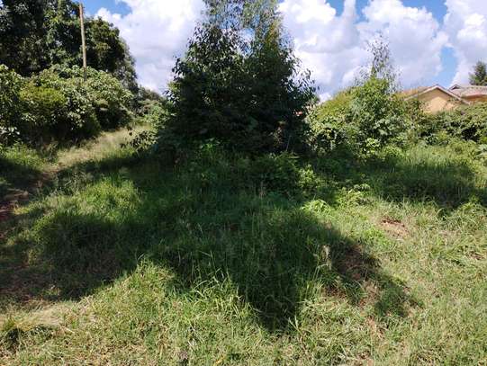 50 by 200 plot for sale in Kitisuru image 1