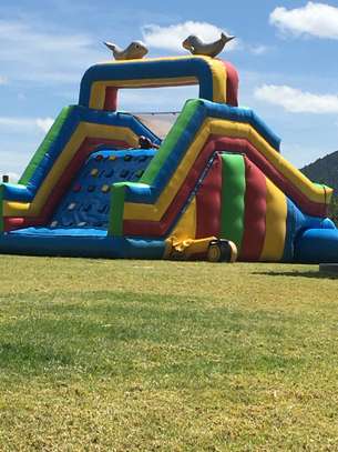 Bouncing Castles for Hire image 13