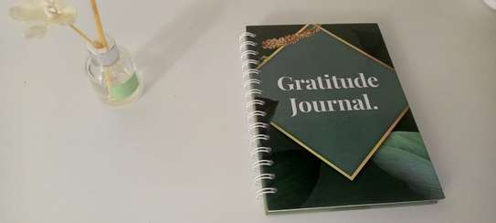 GRATITUDE JOURNAL FOR ADULTS image 1