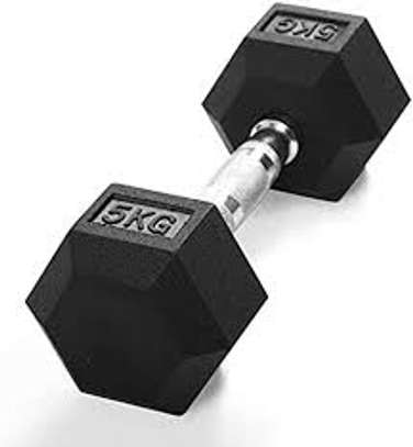 5kg  Hex Dumbbell weight pair image 1