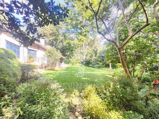 0.3 ac Land at Peponi Road image 2