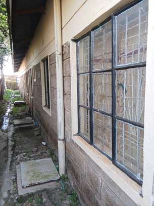 Residential houses with Stone Arches & Garden image 9