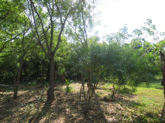 1-Acre Plots For Sale in Diani image 8