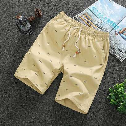 Men Cotton made summer shorts image 1
