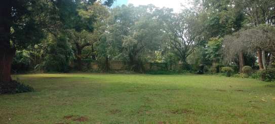 Residential Land at 5 Acres At120M Per Acre image 3