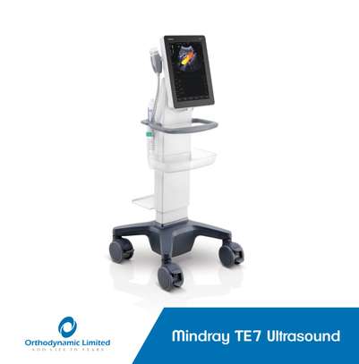 Mindray  TE7 Ultrasound image 2