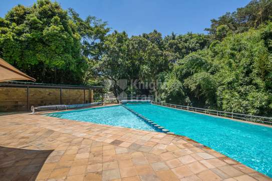 4 Bed Apartment with Swimming Pool at Off Chiromo Road image 25