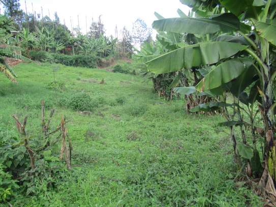 1/4-Acre Plot For Sale in Muthiga image 2