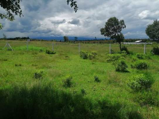 5,000 m² Land at Nanyuki Mount Kenya View image 1