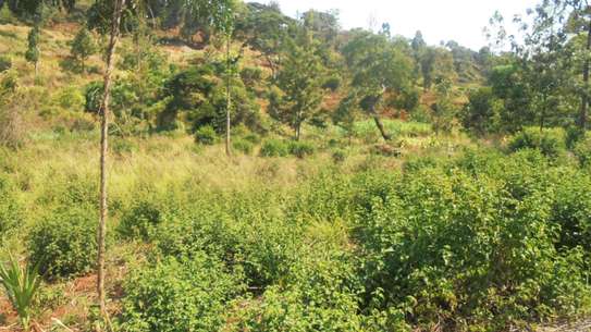 6.3 ac Land in Nyeri image 2