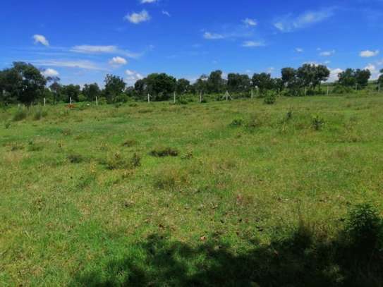 5,000 m² Land at Nanyuki Mount Kenya View image 9