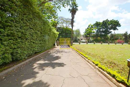 4 Bed House with Swimming Pool in Lavington image 19