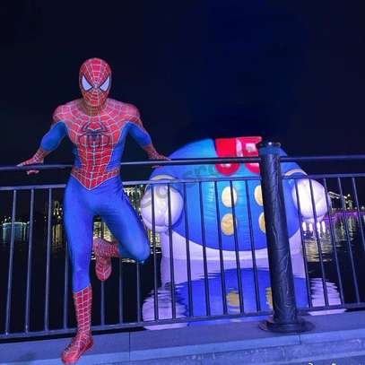 Spiderman theme Mascot hiring for Birthdays image 2