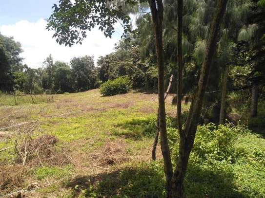 500 m² Residential Land in Ngong image 1