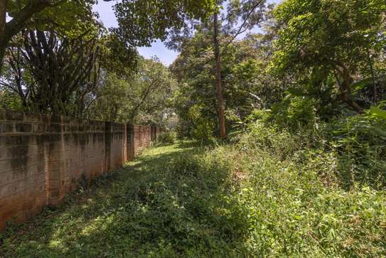 3.6 ac Residential Land in Spring Valley image 10