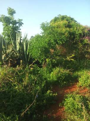 50 Acres Is Available For Sale in Mutha Kitui County image 2