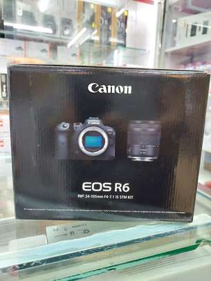 CANON EOS R6 24-105mm STM lens image 2