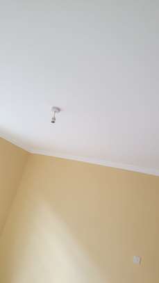 Very Spacious 3 BR houses plus Sqs in Ongata Rongai image 10