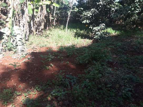 Very Spacious 6 BR House plus Sqs in Ngong image 10