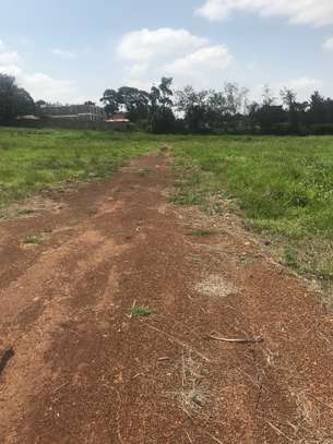 1000 ft² residential land for sale in Kahawa Sukari image 10