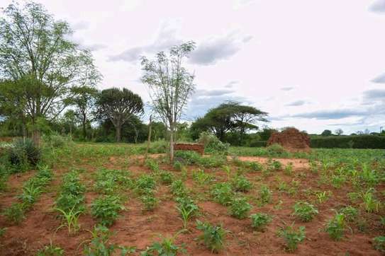 100 by 100 ft plot in Omega Estate Kibwezi Makueni County image 11