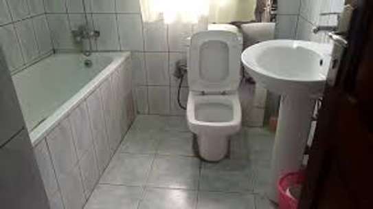 Trusted Plumbers & Handyman Services Kiambu Road Nairobi image 3