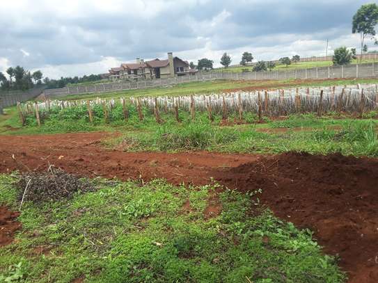 0.5 ac residential land for sale in Runda image 8