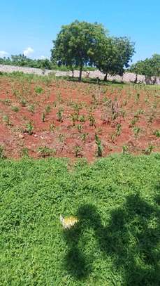 LAND FOR SALE KILIFI MTONDIA BOFA ROAD image 3