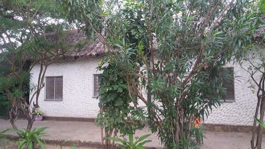 3br house with 2 SQ on 3/4 acre plot for rent near City Mall. Hr-2510 image 4