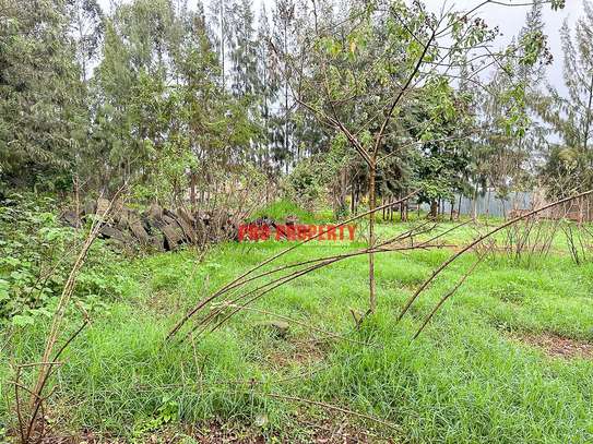 0.05 ha Commercial Land in Kikuyu Town image 3