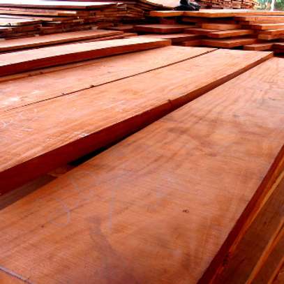 Mahogany timber & beams Sales. image 2