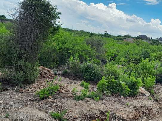 Land in Malindi image 9