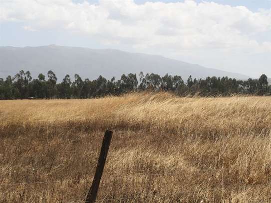 30 ac land for sale in Nyandarua County image 4