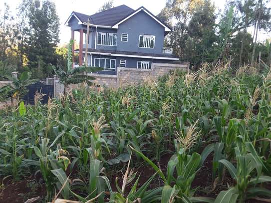 Lovely One Eighth Plot in Ngong image 9