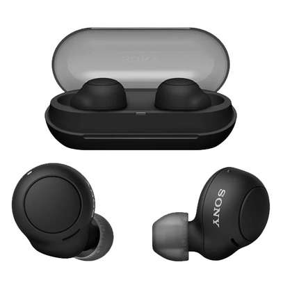 Sony C500 Earbuds image 2