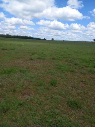 2.5 ac Commercial Land at Pipeline image 1