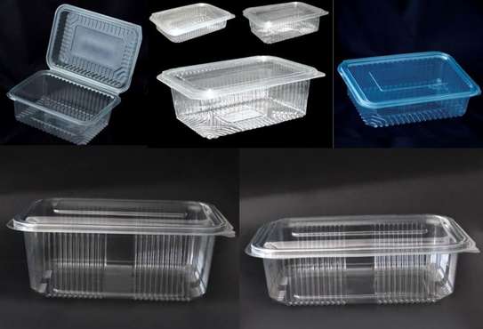 Multipurpose Disposable Food Deli Punnets Containers - 20 Pcs image 1