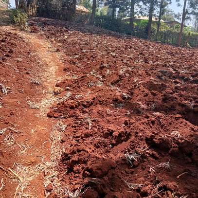 40X80ft PLOTS FOR SALE AT KENOL TOWN JUST BEHIND MAGUNAS image 2