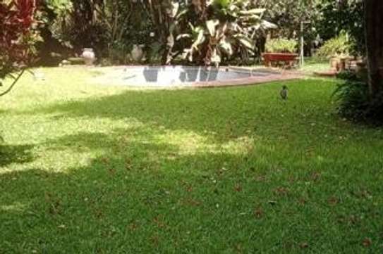 0.91 ac Land at Convent Dr Junction image 1