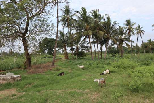 20 ac Land in Kikambala image 7