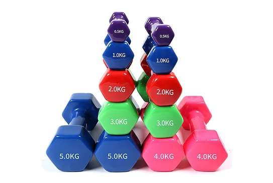 1 kgs  and 4 kgs Dumbbells (Sold in pair) image 1