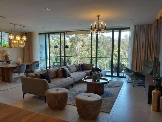 4 Bed Apartment with En Suite in Spring Valley image 16