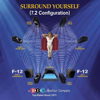 BIC America Formula  F12 Front-Firing Powered Subwoofer image 7