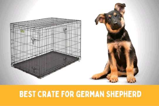 Dog cages image 1